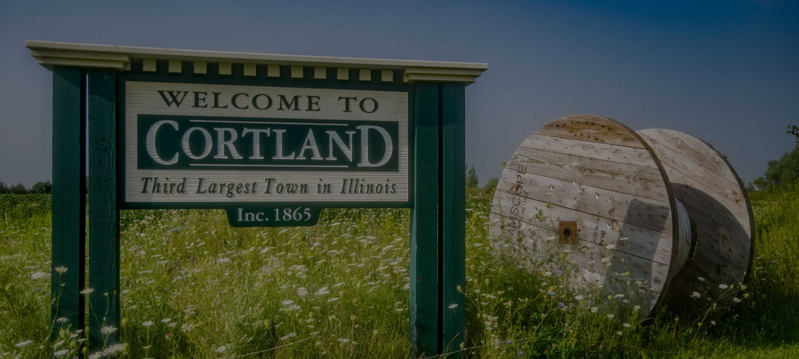 Cortland IL Homes For Sale Real Estate Listing Search